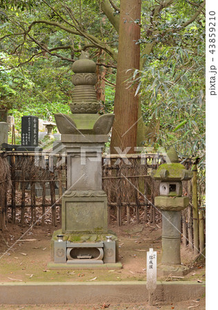 新潟県・村上散歩：城下町村上　浄土宗光徳寺 43859210