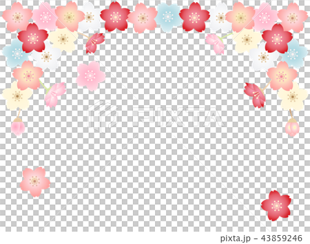櫻花9 櫻花9 43859246