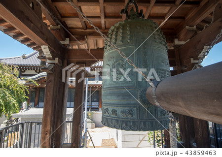 円福寺　鐘楼　さいたま市　 43859463