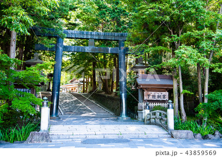 長野 諏訪大社 下社秋宮の鳥居 43859569