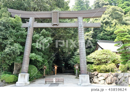 初夏の高千穂 43859624