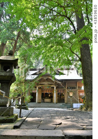 初夏の高千穂 初夏の高千穂 43859630