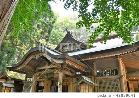 初夏の高千穂 初夏の高千穂 43859641