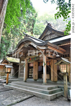 初夏の高千穂 43859642