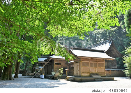 初夏の高千穂 初夏の高千穂 43859645