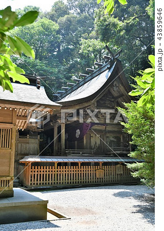 初夏の高千穂 初夏の高千穂 43859646