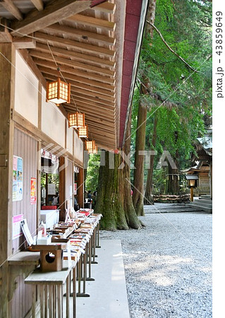 初夏の高千穂 初夏の高千穂 43859649