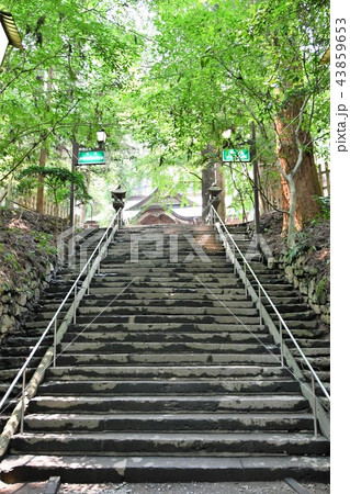 初夏の高千穂 初夏の高千穂 43859653