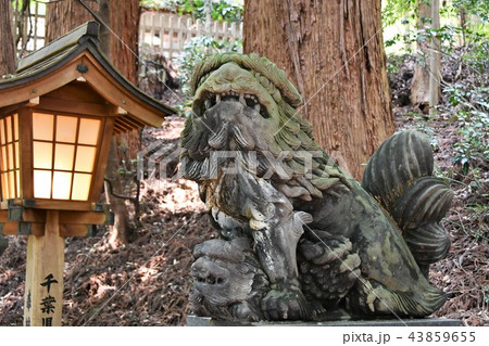 初夏の高千穂 43859655