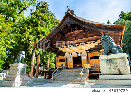 長野 諏訪大社 下社秋宮の神楽殿 43859729