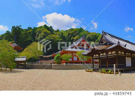 【天野山 金剛寺】 (高解像度版) 大阪府河内長野市天野町 43859745