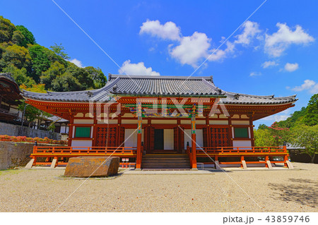 【天野山 金剛寺】 (高解像度版) 大阪府河内長野市天野町 43859746