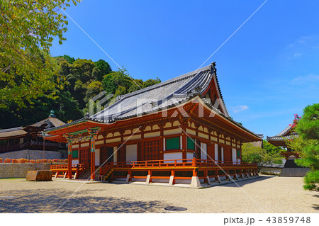 【天野山 金剛寺】 (高解像度版) 大阪府河内長野市天野町 【天野山 金剛寺】 (高解像度版) 大阪府河内長野市天野町 43859748