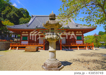 【天野山 金剛寺】 大阪府河内長野市天野町 43859749