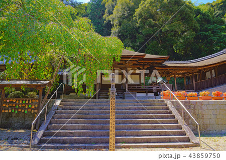【天野山 金剛寺】 大阪府河内長野市天野町 【天野山 金剛寺】 大阪府河内長野市天野町 43859750