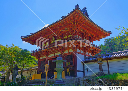 【天野山 金剛寺】 大阪府河内長野市天野町 43859754