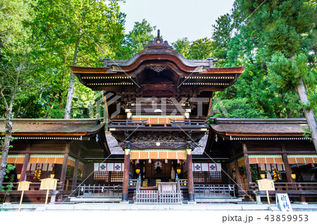 長野 諏訪大社 下社秋宮の幣拝殿 43859953