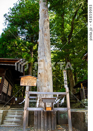 長野 諏訪大社 下社秋宮 一之御柱 43859993