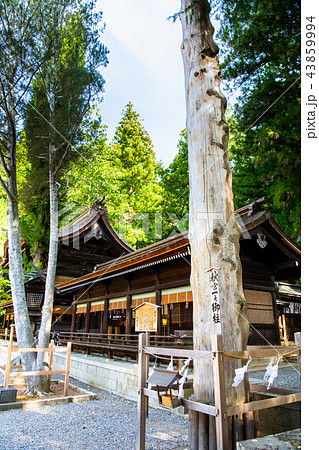 長野 諏訪大社 下社秋宮 一之御柱と幣拝殿 43859994