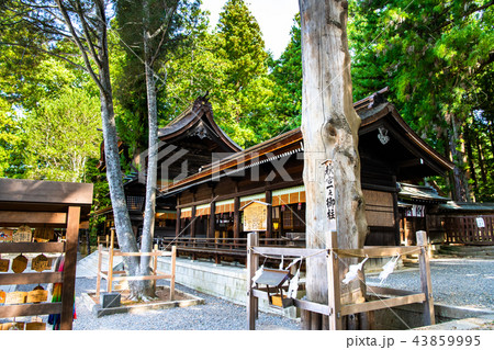 長野 諏訪大社 下社秋宮 一之御柱と幣拝殿 長野 諏訪大社 下社秋宮 一之御柱と幣拝殿 43859995