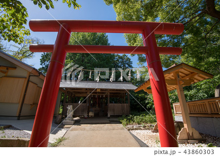 与野天祖神社　与野七福神　寿老神 43860303