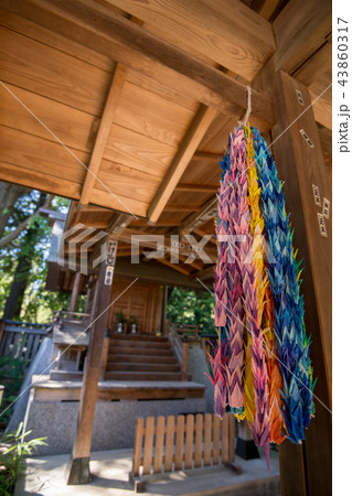 与野天祖神社　千羽鶴　与野七福神　寿老神 43860317