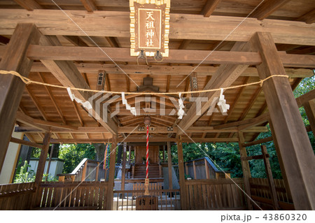 与野天祖神社　与野七福神　寿老神 43860320