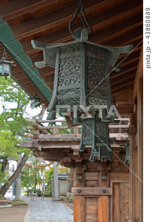新潟市内散歩：白山神社・吊り灯篭 43860889