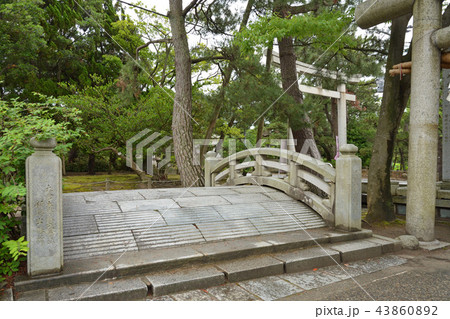 新潟市内散歩：白山神社・たいこ橋 43860892