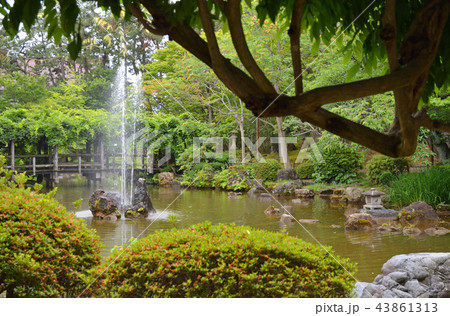 新潟市内散歩：白山公園・ひょうたん池 43861313
