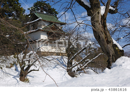青森県弘前市　弘前公園　弘前城　辰巳櫓 43861616