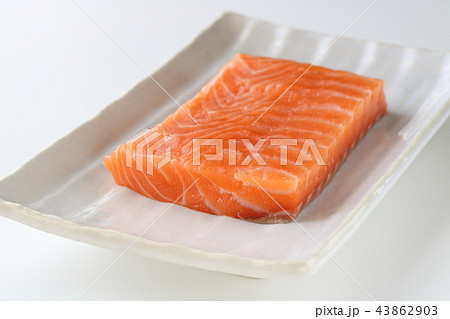 アトランティックサーモンの冊 アトランティックサーモンの冊 43862903