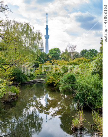向島百花園11 向島百花園11 43863163