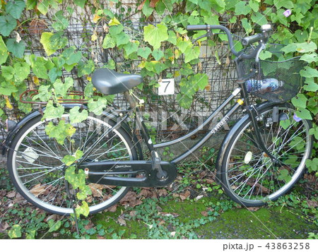 放置自転車 放置自転車 43863258