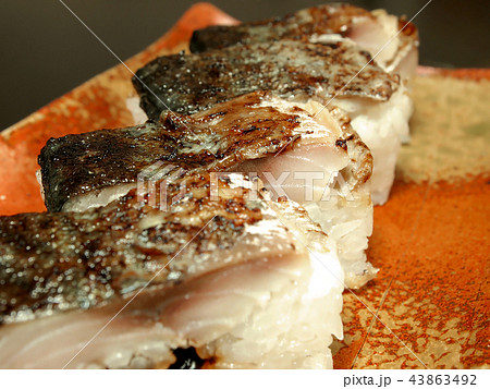 焼き鯖の押し寿司 金華サバ 焼き鯖の押し寿司 金華サバ 43863492