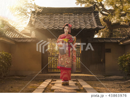 桜の木の下にあるお寺の石畳の道に赤い着物を着た日本の可愛い芸者あるいは舞子の歩いている全身姿。 43863976