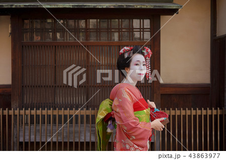 京都の伝統的な家の窓の前に通る赤い着物を着た日本の可愛い芸者あるいは舞子の歩いている姿。 43863977