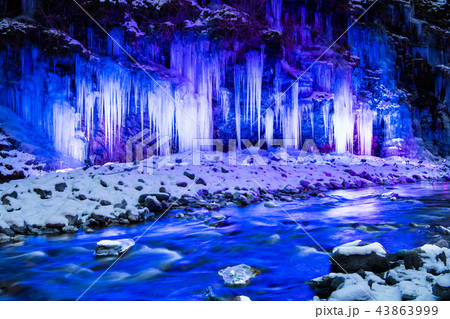 埼玉秩父 三十槌の氷柱 ライトアップ 埼玉秩父 三十槌の氷柱 ライトアップ 43863999