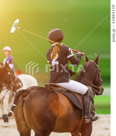 Polo woman player is riding on a horse. 43864339