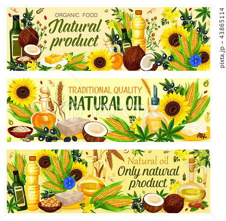 Organic vegetable cooking oils vector Organic vegetable cooking oils vector 43865114