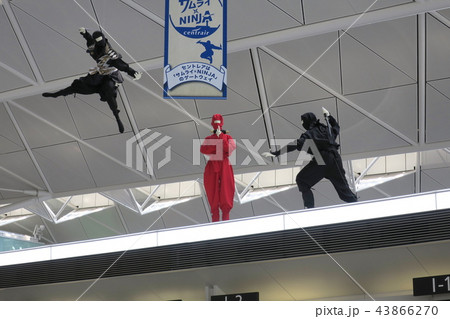 中部国際空港の忍者 43866270