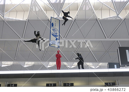中部国際空港の忍者 43866272