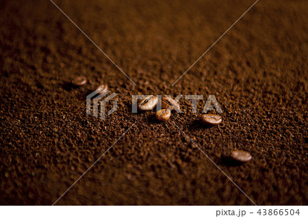 Coffee beans on coffee powder 43866504