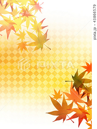 テキスタイル　紅葉 43866579