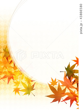 テキスタイル 紅葉 テキスタイル 紅葉 43866580
