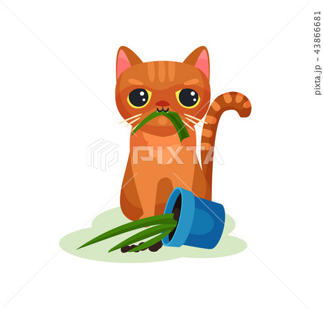 Naughty kitten eating house plant, mischievous cute little cat vector Illustration on a white Naughty kitten eating house plant, mischievous cute little cat vector Illustration on a white 43866681