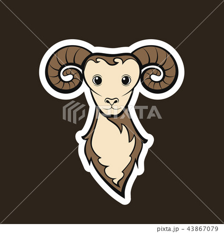 Head of a mutton. 43867079