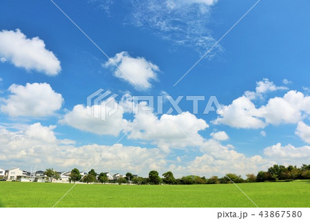 気持ちいい青空の公園風景の写真素材