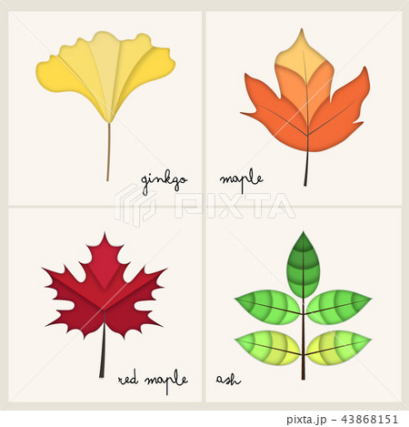 Autumn leaves paper art style for background 43868151
