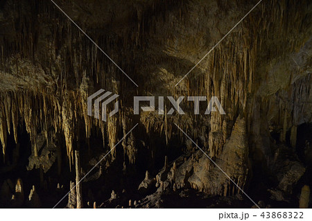 Mammoth Cave / Margaret River マンモス・ケーブ 鍾乳洞 オーストラリア 43868322